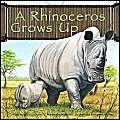 9781404809864: A Rhinoceros Grows Up (Wild Animals)