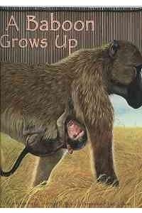 Stock image for A Baboon Grows Up (Wild Animals) for sale by Hay-on-Wye Booksellers