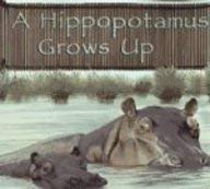 Stock image for A Hippopotamus Grows Up (Wild Animals) for sale by -OnTimeBooks-