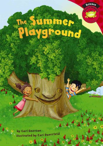 Beispielbild fr The Summer Playground zum Verkauf von Better World Books