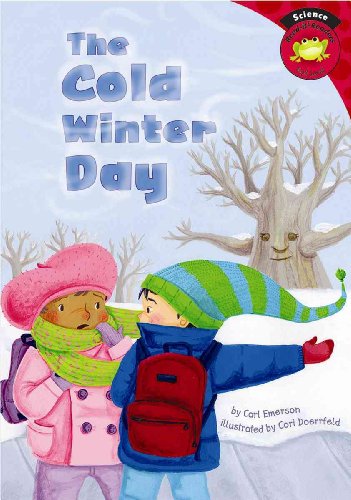 Stock image for The Cold Winter Day (Read-It! Readers) for sale by Ergodebooks