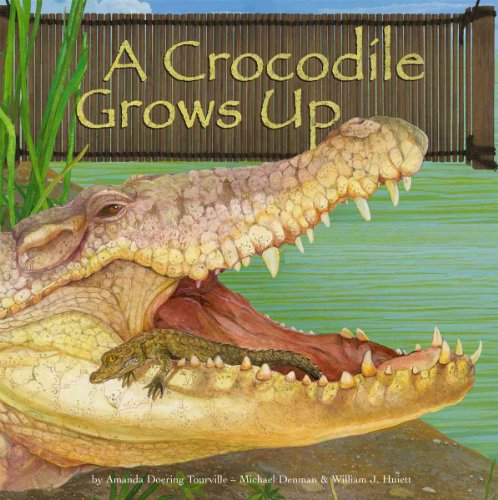 Beispielbild fr A Crocodile Grows Up zum Verkauf von Better World Books
