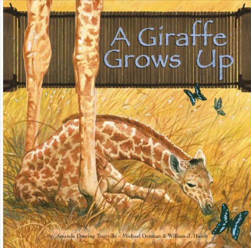 9781404831582: A Giraffe Grows Up (Wild Animals)