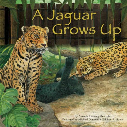 9781404831599: A Jaguar Grows Up (Wild Animals)