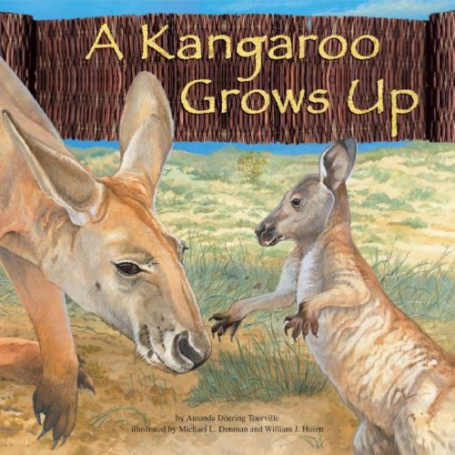9781404831605: A Kangaroo Grows Up (Wild Animals)