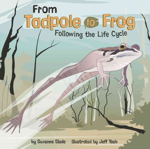 Beispielbild fr From Tadpole to Frog : Following the Life Cycle zum Verkauf von Better World Books