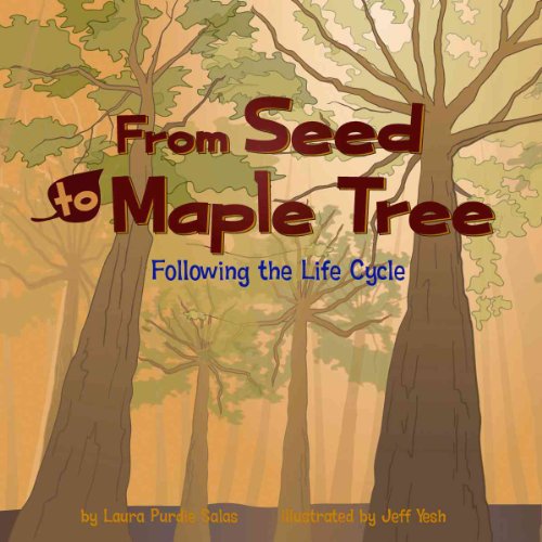 

From Seed to Maple Tree : Following the Life Cycle