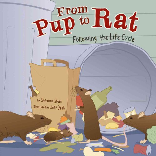 Imagen de archivo de From Pup to Rat: Following the Life Cycle (Amazing Science: Life Cycles) a la venta por dsmbooks