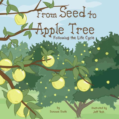 9781404851597: From Seed to Apple Tree: Following the Life Cycle (Amazing Science)