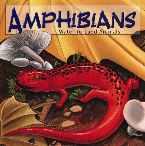 Stock image for Amphibians: Water-To-Land Animals for sale by ThriftBooks-Dallas