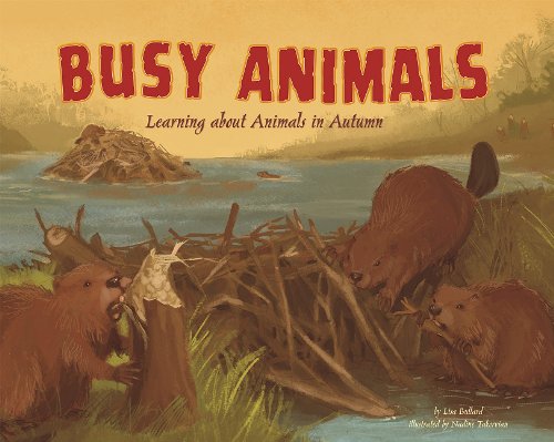 9781404863897: Busy Animals: Learning About Animals in Autumn