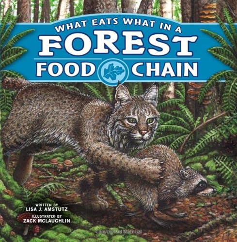 9781404873889: What Eats What in a Forest Food Chain