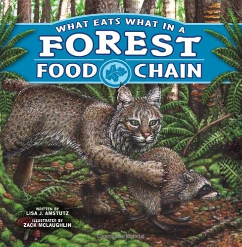 9781404873889: What Eats What in a Forest Food Chain (Food Chains)