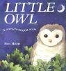 Imagen de archivo de Little Owl (A Soft-to-Touch Book) a la venta por ThriftBooks-Atlanta