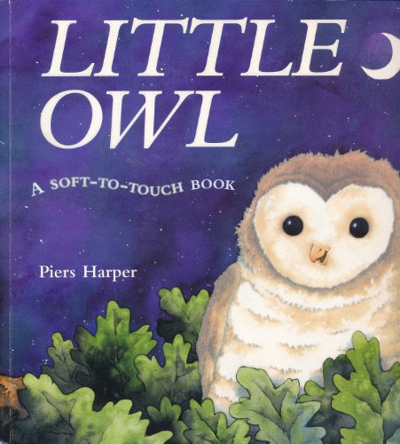 9781405047739: Little Owl (A Soft-to-Touch Book)