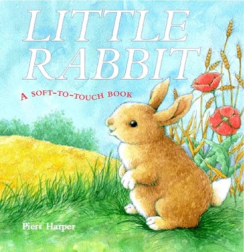 Beispielbild fr Little Rabbit: A Soft-to-Touch Book (Soft-to-Touch S.) zum Verkauf von AwesomeBooks