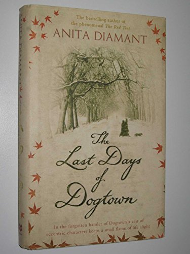 9781405049672: The Last Days of Dogtown