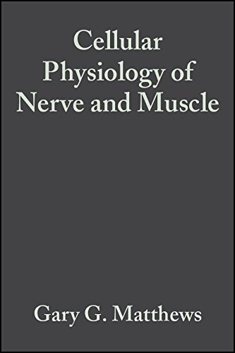 Stock image for Cell Physiology Nerve Muscle 4e for sale by ZBK Books