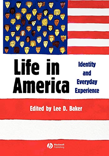 Stock image for Life in America : Identity and Everyday Experience for sale by Better World Books