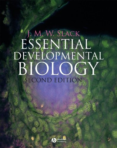 Stock image for Essential Developmental Biology: Second Edition for sale by medimops