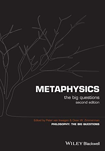 Imagen de archivo de Metaphysics: The Big Questions a la venta por Irish Booksellers