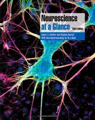 Imagen de archivo de Neuroscience at a Glance a la venta por Better World Books: West