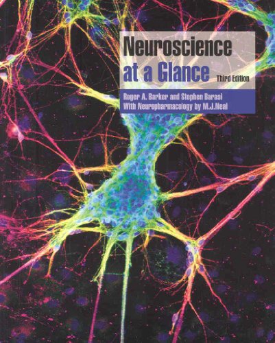 Stock image for Neuroscience at a Glance for sale by Better World Books: West