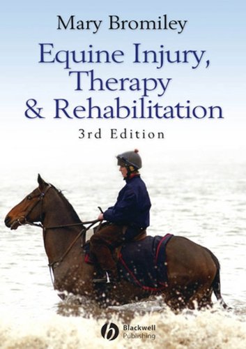 Imagen de archivo de Equine Injury, Therapy and Rehabilitation a la venta por Blackwell's