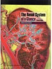 Stock image for The Renal System at a Glance for sale by Books Puddle