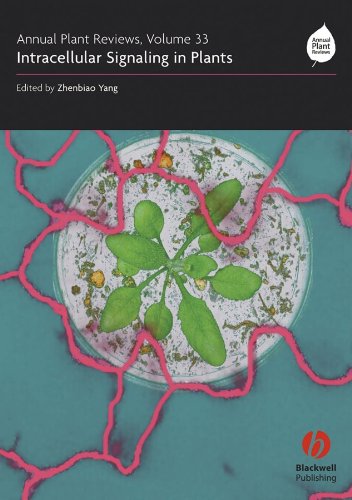 Imagen de archivo de Annual Plant Reviews, Intracellular Signaling in Plants a la venta por HPB-Red