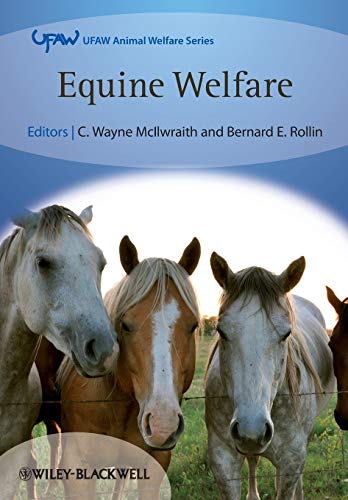 Stock image for Equine Welfare: 6 (UFAW Animal Welfare) for sale by WorldofBooks