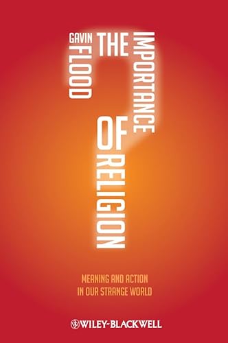 Imagen de archivo de The Importance of Religion: Meaning and Action in our Strange World a la venta por ThriftBooks-Dallas