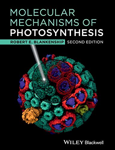 Stock image for Molecular Mechanisms Photosynthesis 2e for sale by Books Unplugged