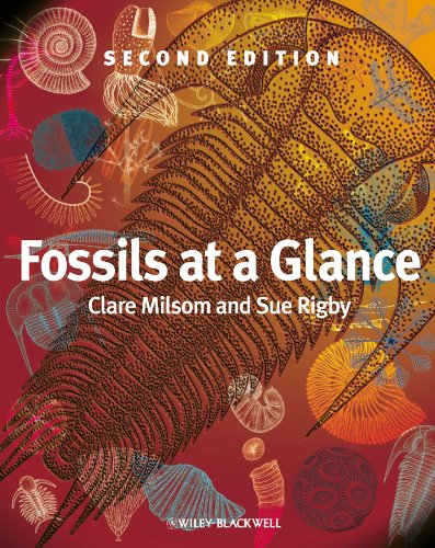 Imagen de archivo de Fossils at a Glance, 2nd Edition a la venta por WorldofBooks