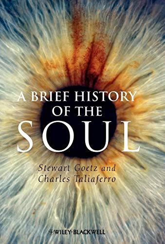 Stock image for A Brief History of the Soul for sale by Revaluation Books