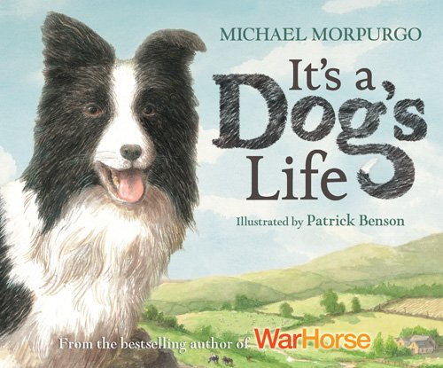 Imagen de archivo de It's a Dog's Life a la venta por WorldofBooks