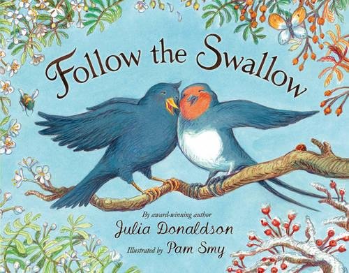 Follow the Swallow (Blue Bananas (Egmont Press)) - Julia Donaldson, Pam Smy