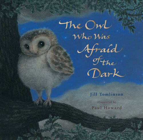 9781405221825: The Owl Who Was Afraid of the Dark