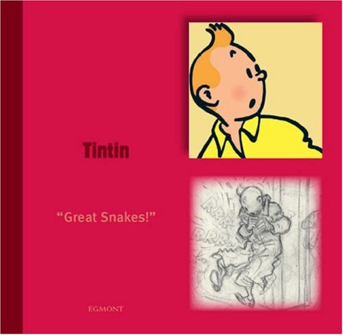 9781405230582: Tintin (Tintin Character)