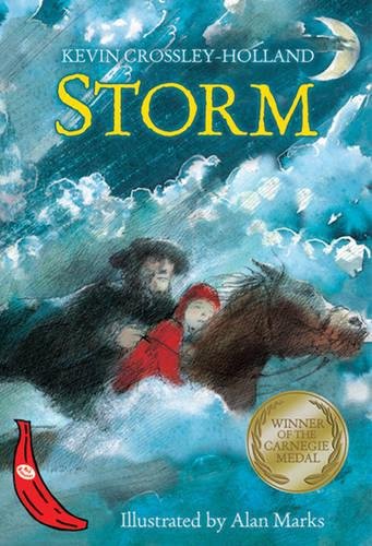 Stock image for Storm for sale by ThriftBooks-Dallas