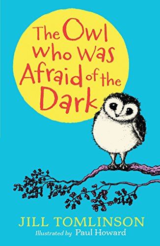 9781405281843: The Owl Who Was Afraid of the Dark
