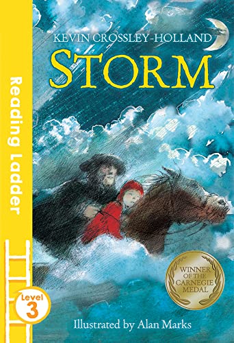 Stock image for Storm (Reading Ladder Level 3) for sale by AwesomeBooks