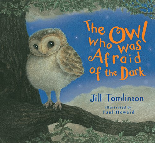 9781405283366: The Owl Who Was Afraid of the Dark