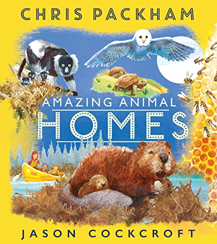 9781405284899: Amazing Animal Homes: Look inside some of nature's most extraordinary animal homes.