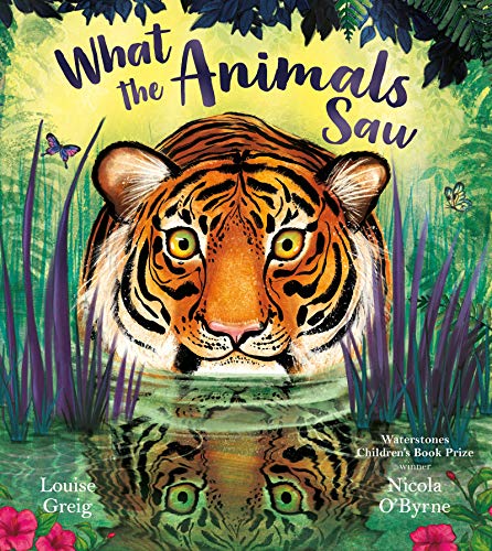 9781405287821: What the Animals Saw: What if you could see through the eyes of an animal? Illustrated by a Waterstones Prize winner!