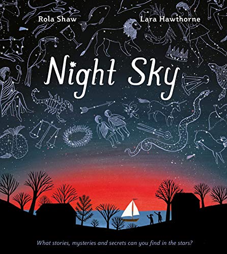 Beispielbild fr Night Sky zum Verkauf von BookOutlet