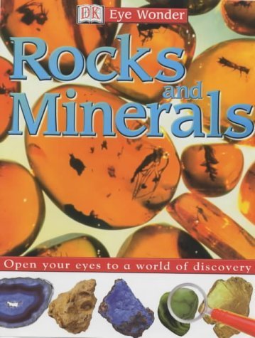 9781405300902: Rocks and Minerals