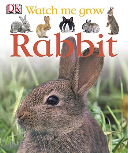 Stock image for Rabbit (Watch Me Grow) for sale by AwesomeBooks