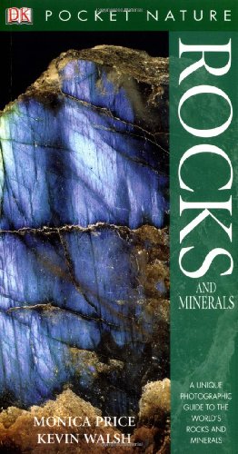 9781405305945: Rocks & Minerals