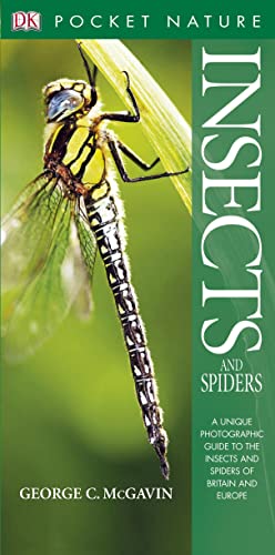 Beispielbild fr Insects and Spiders (Pocket Nature) zum Verkauf von WorldofBooks